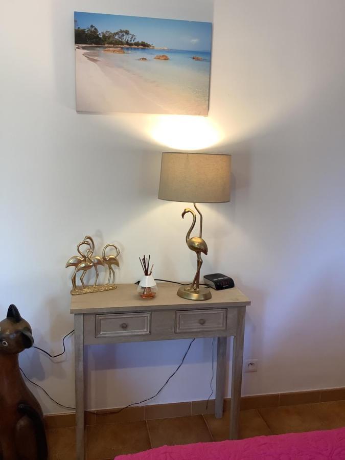 Eccica-Suarella  Charmant Appartement 2 Pieces מראה חיצוני תמונה