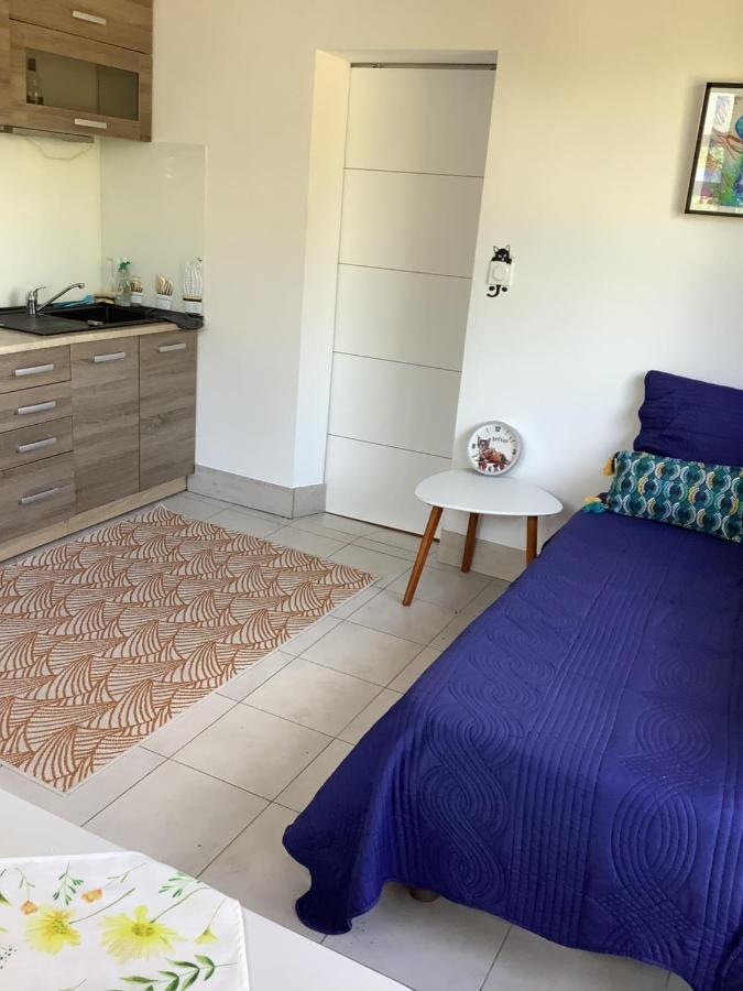 Eccica-Suarella  Charmant Appartement 2 Pieces מראה חיצוני תמונה