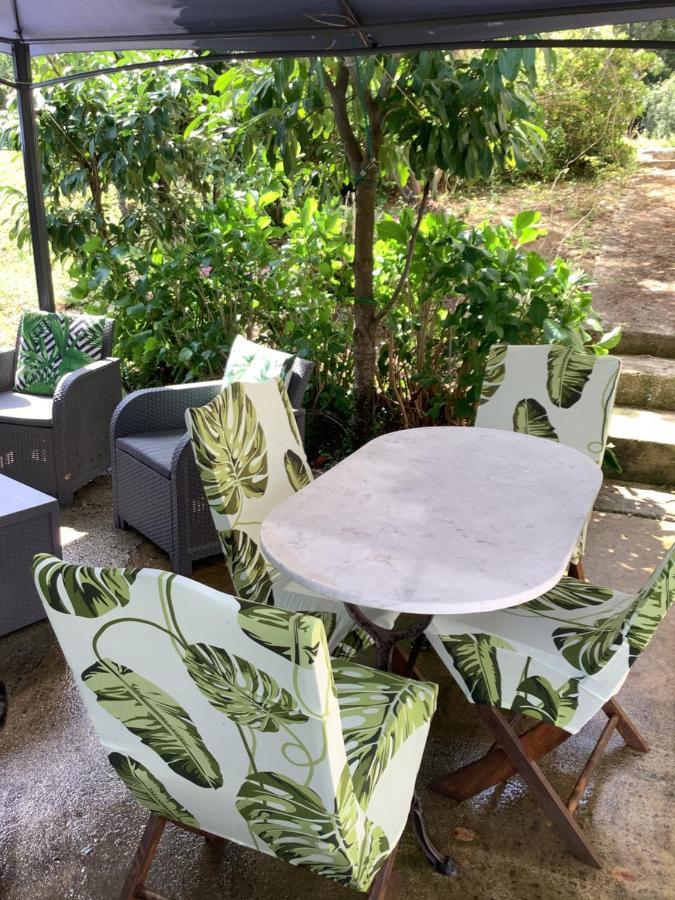 Eccica-Suarella  Charmant Appartement 2 Pieces מראה חיצוני תמונה