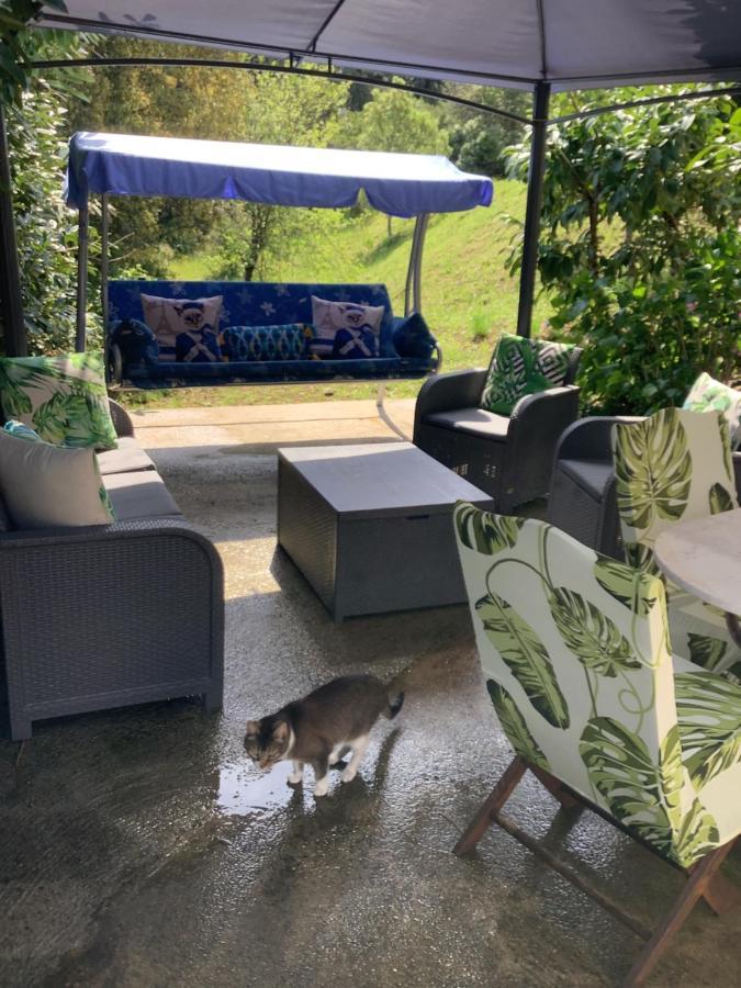 Eccica-Suarella  Charmant Appartement 2 Pieces מראה חיצוני תמונה
